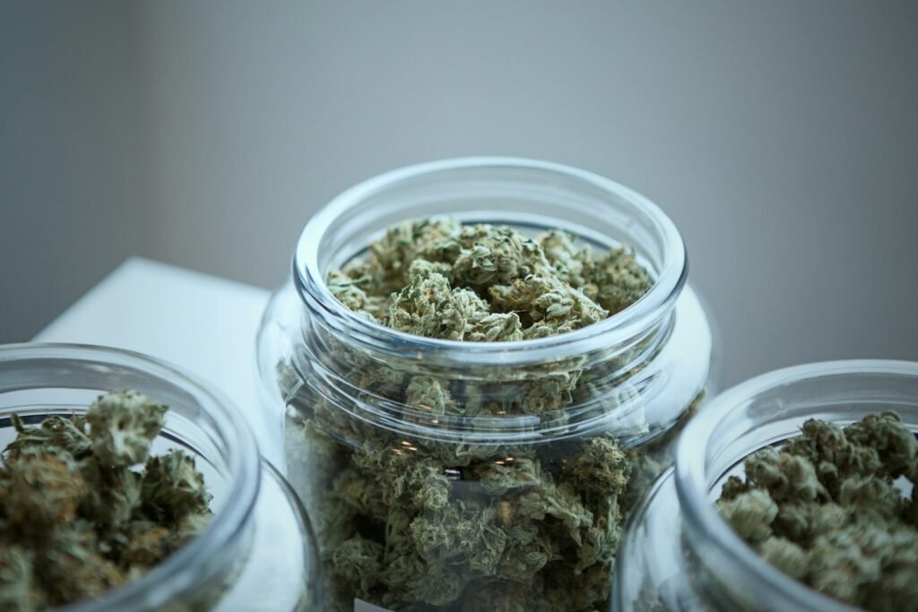 Cannabis Storage Tips: Keeping Your Stash Fresh